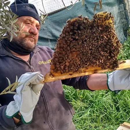 Frühstückspension Il Filo Di Paglia 2*
