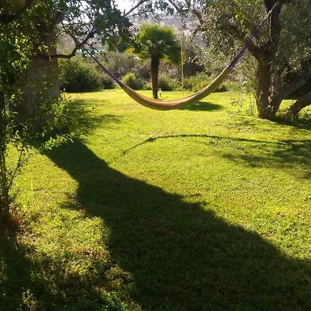 Il Filo Di Paglia 2*